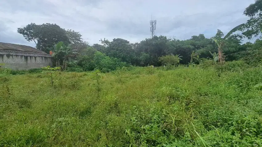 Tanah Kavling Murah Cileungsi, SHM & Lokasi Strategis!