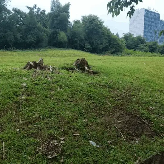 Tanah Strategis Bisa Disewa Sebagian Di Jl Komersial LOT Deltamas
