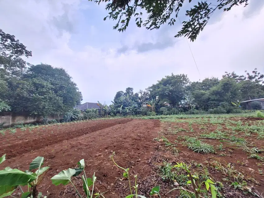 Miliki Kavling di Cinangka Sawangan – Legalitas SHM & Akses Strategis