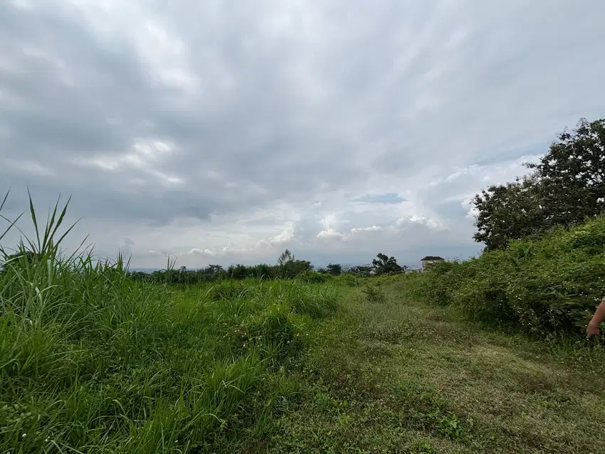 Tanah Murah Landungsari, Kota Malang, Dekat Pondok Thursina