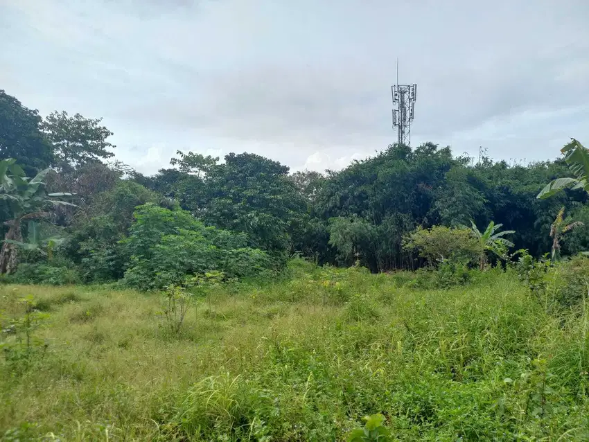 Include Fasum Jalan Cor Beton 5 meter, Kavling SHM area Cileungsi