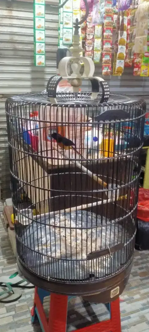 Murai batu Sukomanunggal
