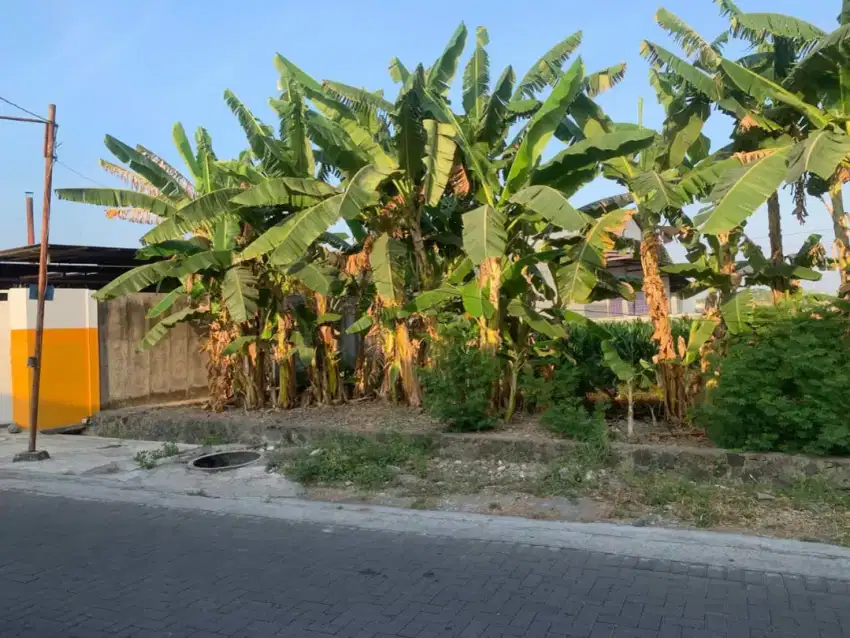 Dijual Tanah Pinggir Jalan