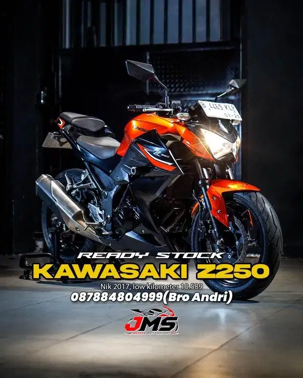 KAWASAKI Z250 NIK 2017