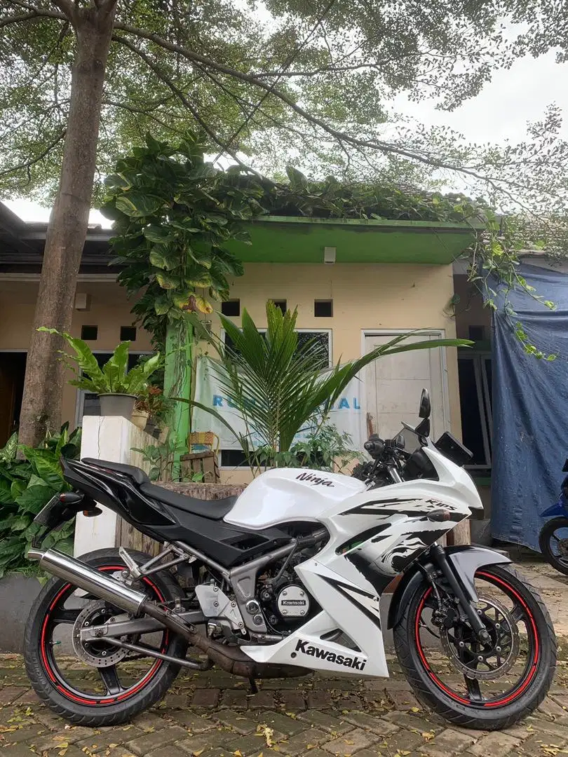 Ninja RR New 2012