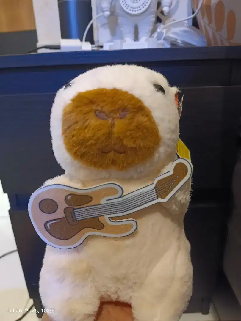 Boneka capybara koleksi oh some