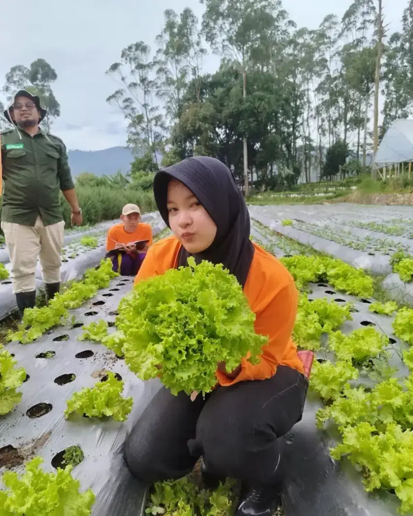 mencari kerja full time