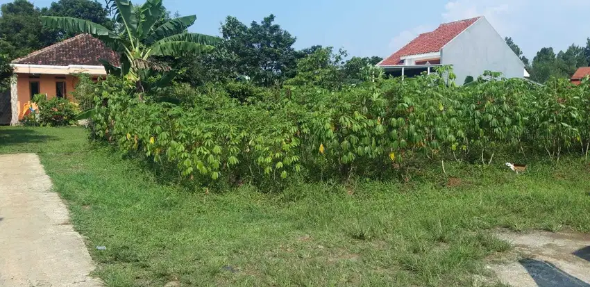 Dijual Tanah Murah, Strategis 700m, Cimanggu Kota Bogor