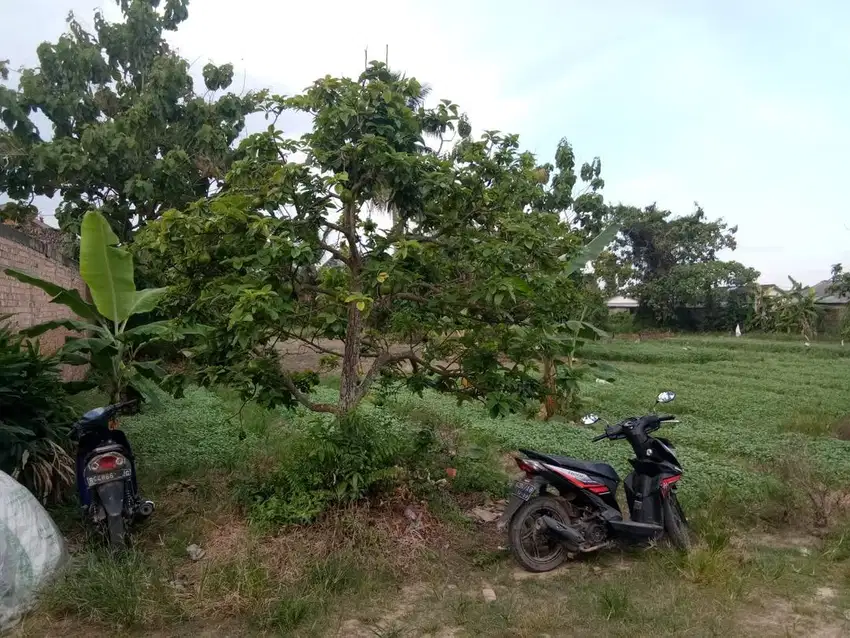 Dijual cepat tanah siap bangun harga masih bisa nego