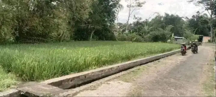 Tanah murah Mendalanwangi wagir malang 525m shm no perantara murah bu