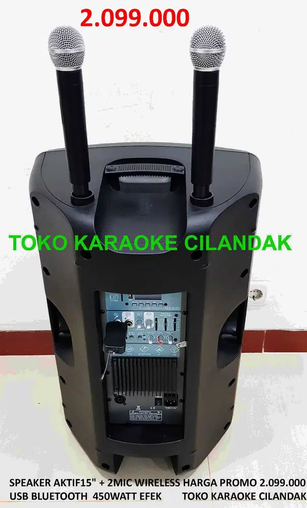 SPEAKER AKTIF15 + 2MIC WIRELESS USB BLUETOOTH  450WATT EFEK  HARGA PR