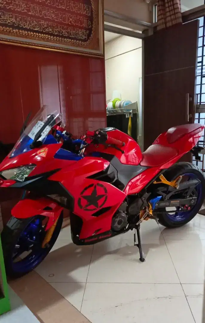 Ninja F1 250 2019