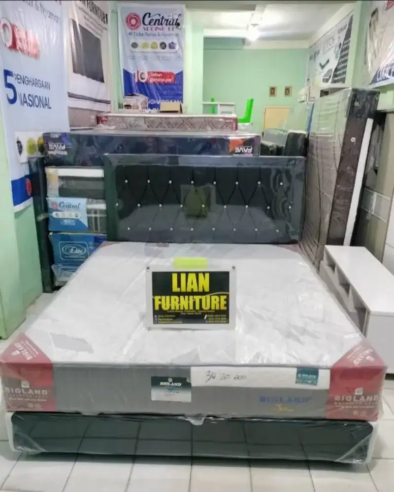 Busa Bigland orthopedic