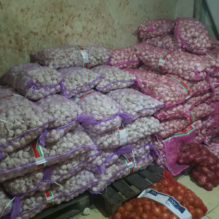 Ready bawang putih, bawang bombay