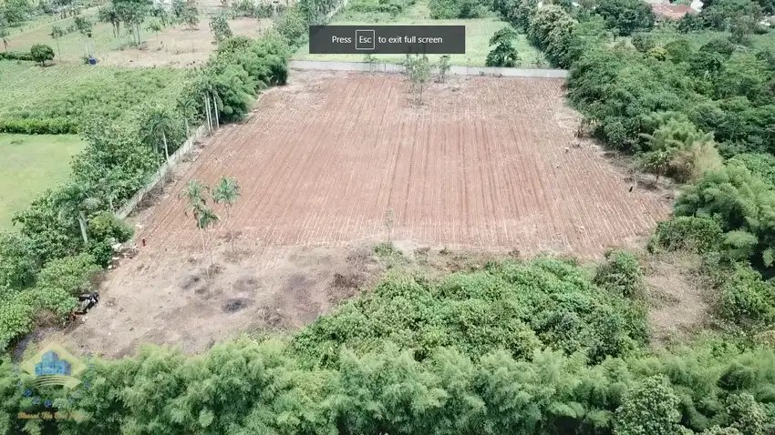 Jual Tanah Murah di Dangdang, Cisauk, Tangerang - Banten.