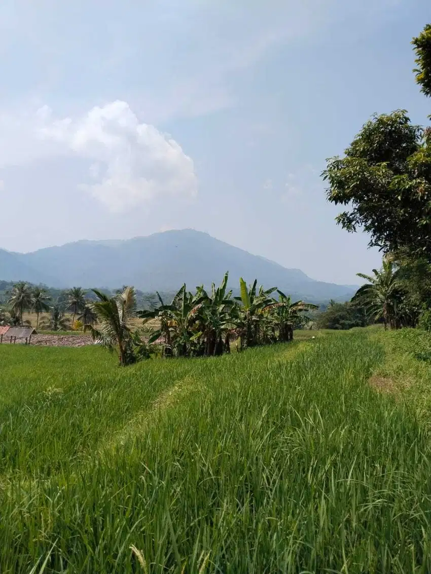 Dijual Tanah Strategis di Tanjungsari Bogor