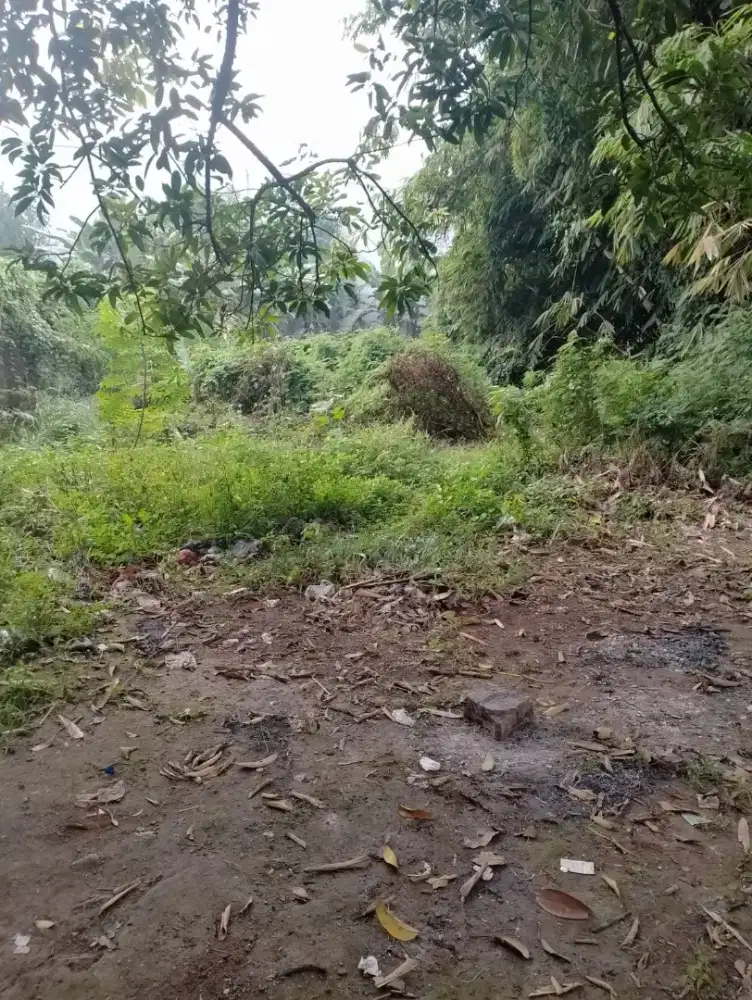 Dijual Tanah Kosong Area BT Gebang Pinggir Jln Utama Hrg dibwh pasaran