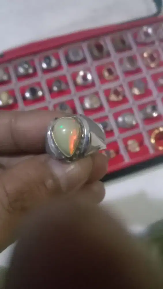 Kalimaya madu joss afrika