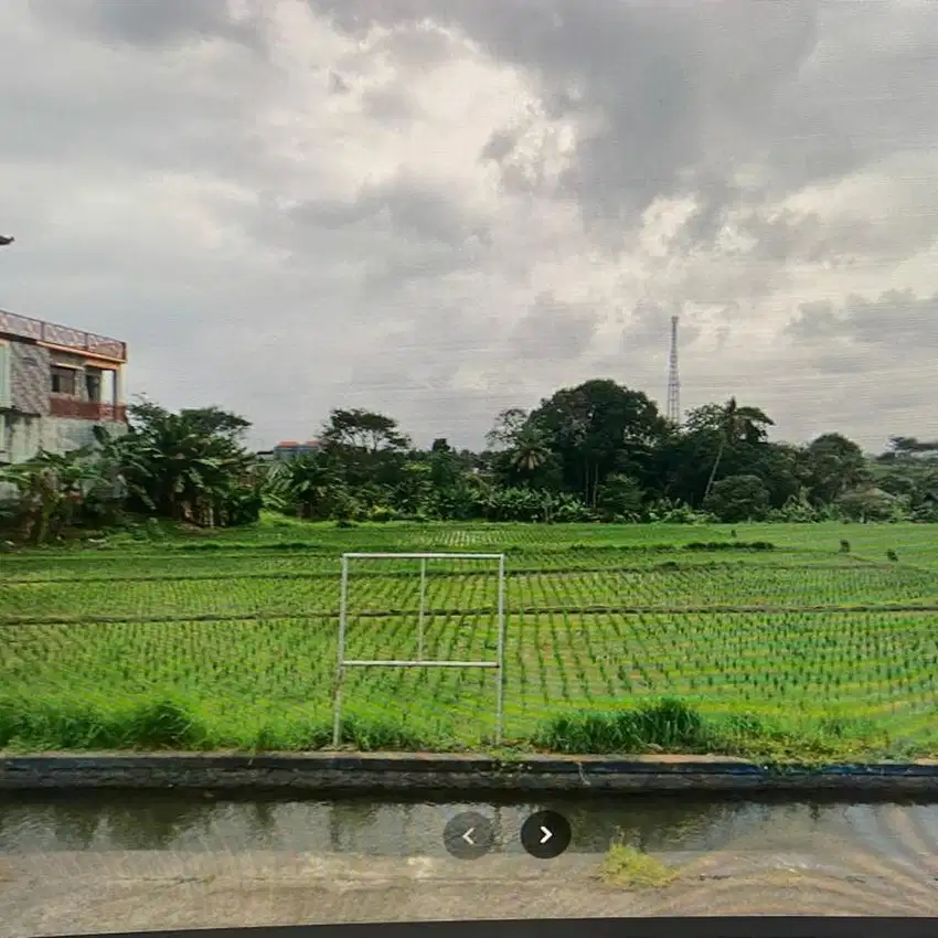 LAHAN TERMURAH LOS SUNGAI & DI JALAN UTAMA P. NYANYI, TABANAN - BALIA
