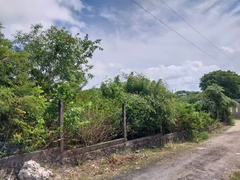 Tanah Dijual Dekat Pantai Bali - Kampial