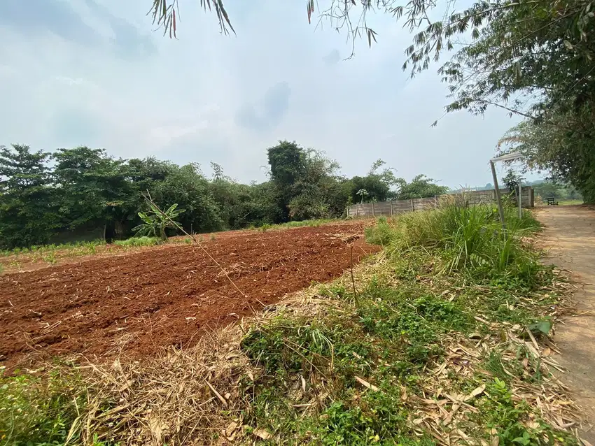 Tanah Kavling Terbaik di Cibubur, Harga Mulai 4,2 Juta/M², SHM Lengkap