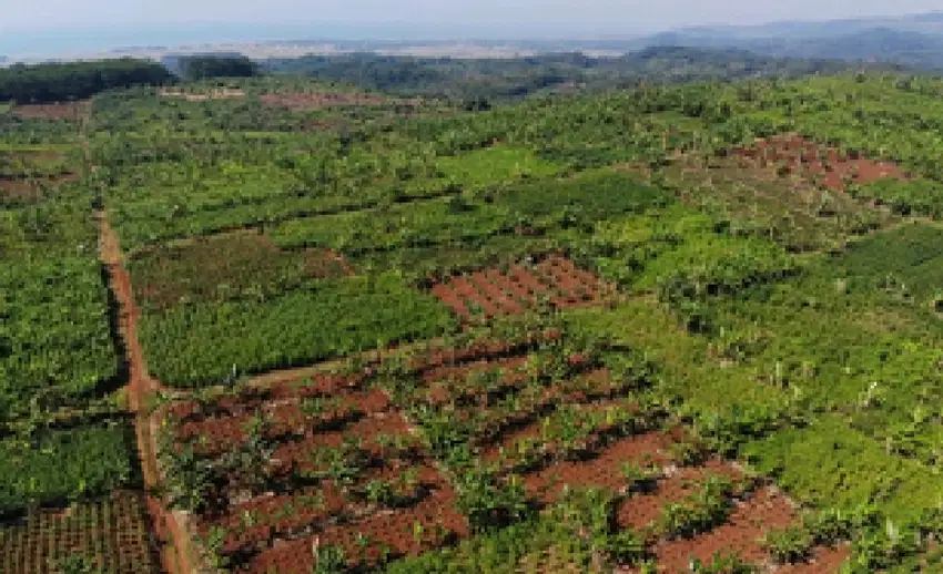 Dijual Tanah Industri SHGB Di Batang Jawa Tengah