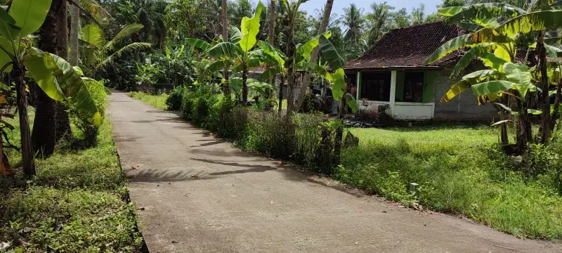 Tanah kavling murah di sentolo kulonprogo
