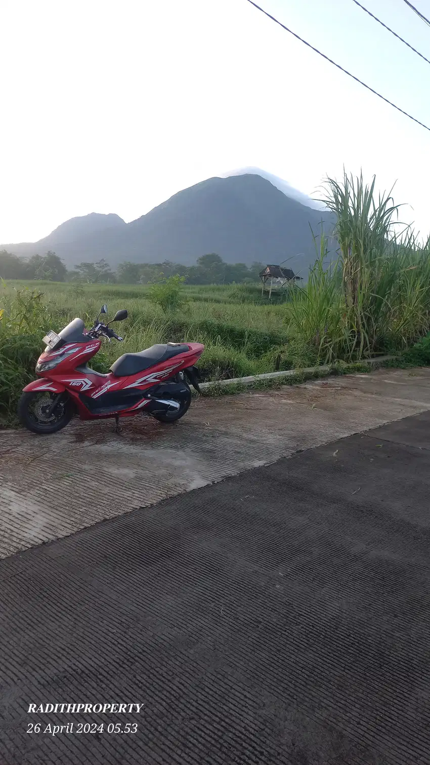 LAHAN  WISATA TRAWAS SHM VIEW GUNUNG