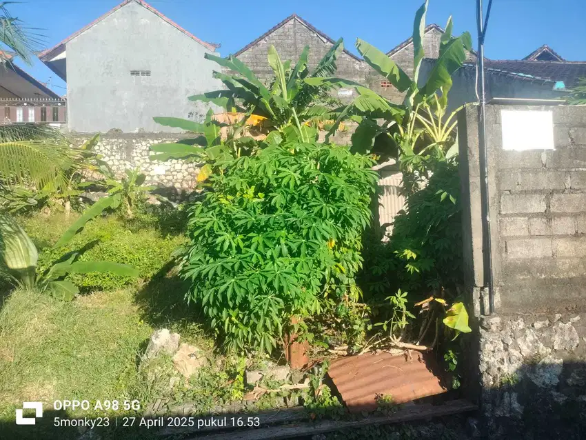 Di jual tanah raya kampial