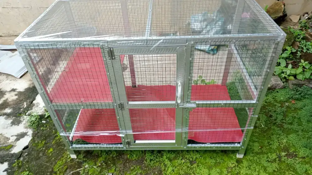 Kandang tingkat karpet merah