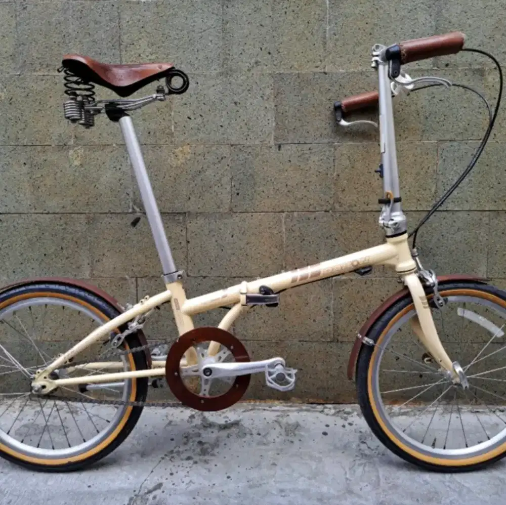 Dahon Hon Solo ( rare item )