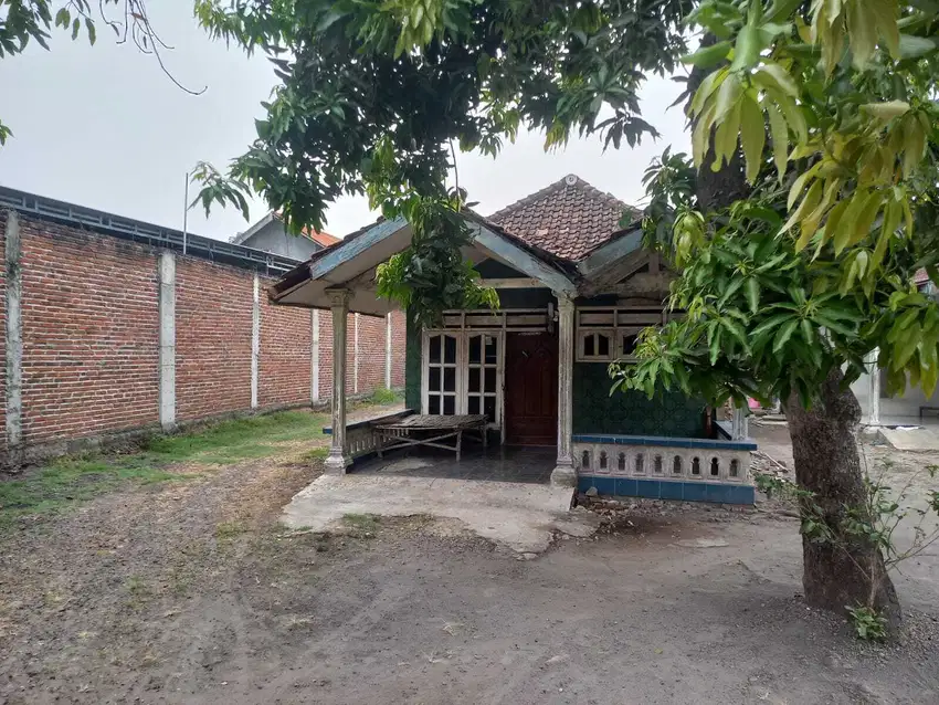 Rumah Kelurahan Wonokasian Kec Wonoayu Kab Sidoarjo