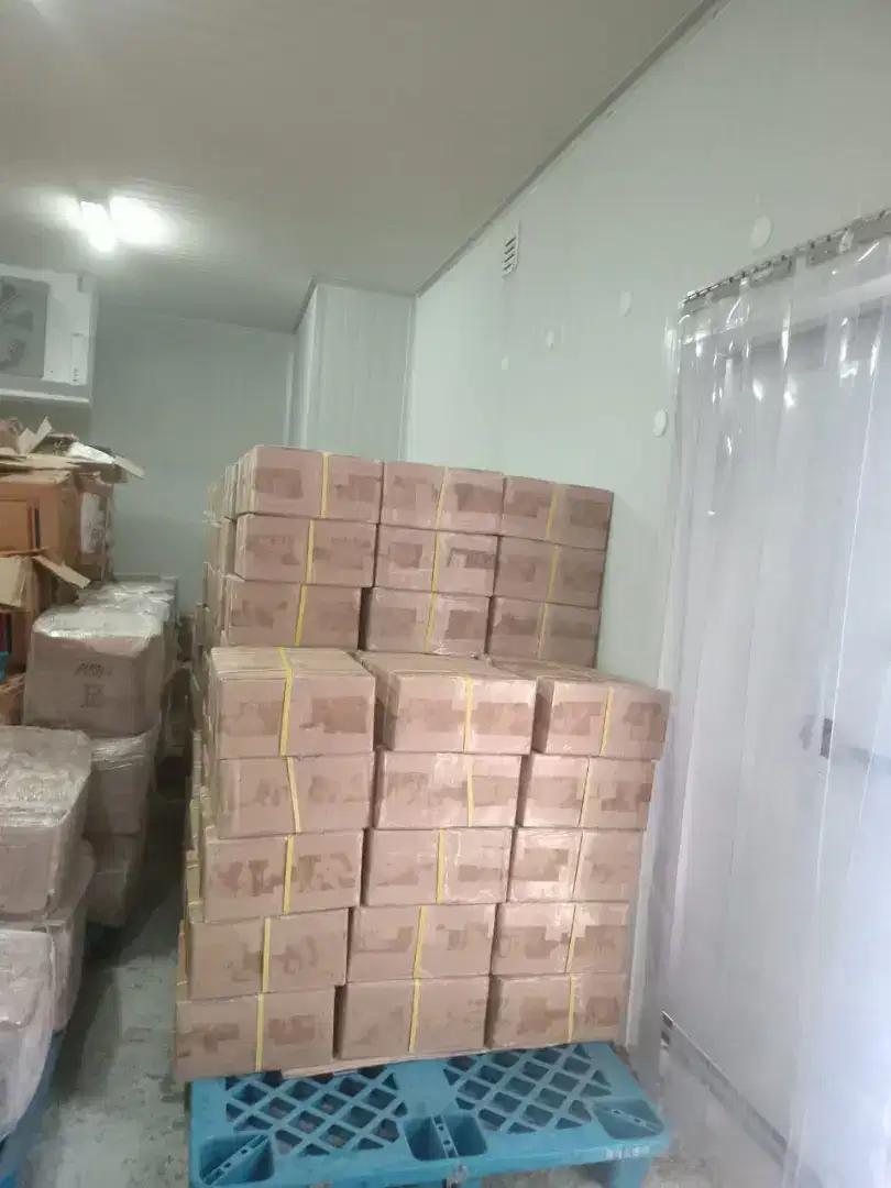 DagDur Ready Stock Sepanjang Tahun