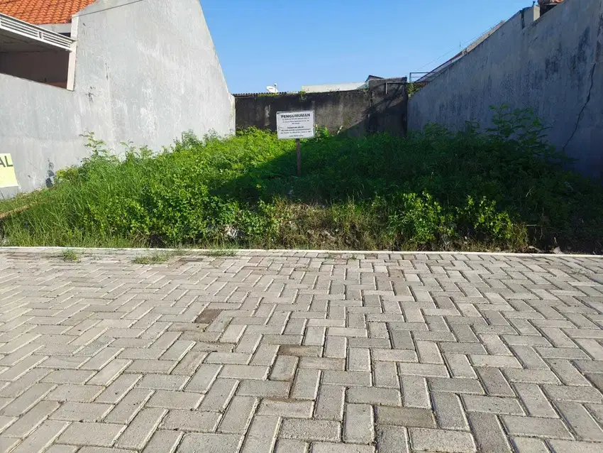 Tanah Murah Gunung Anyar Rungkut Surabaya