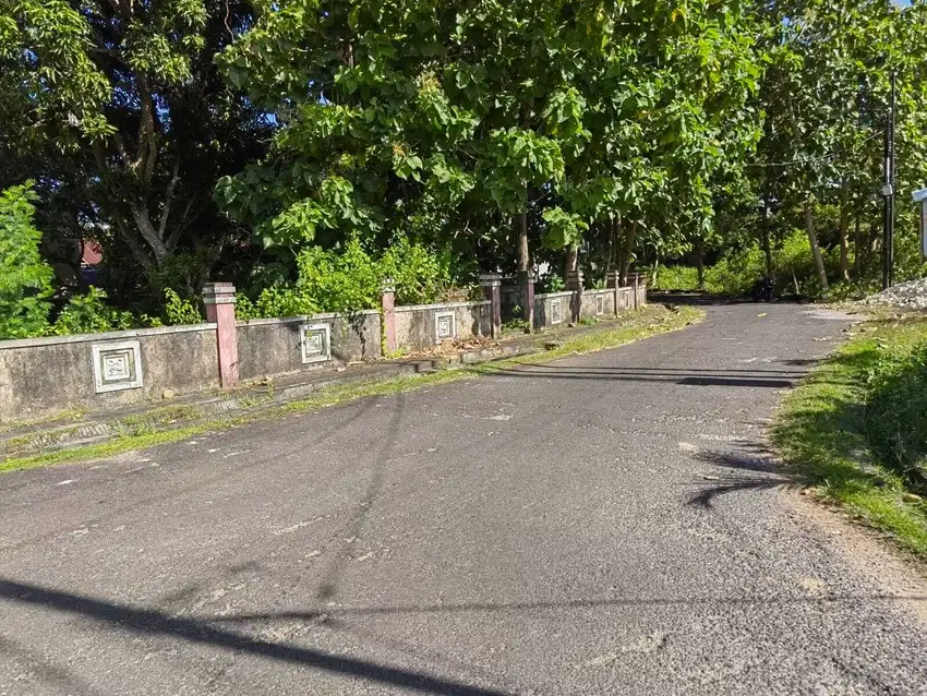 Dijual Tanah 25,8 Are di Jl. Dharmawangsa- Kutuh