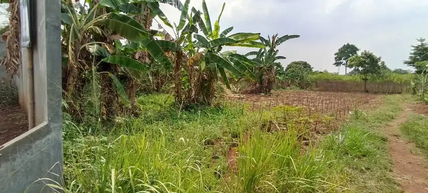 Dijual Tanah Parung Bogor