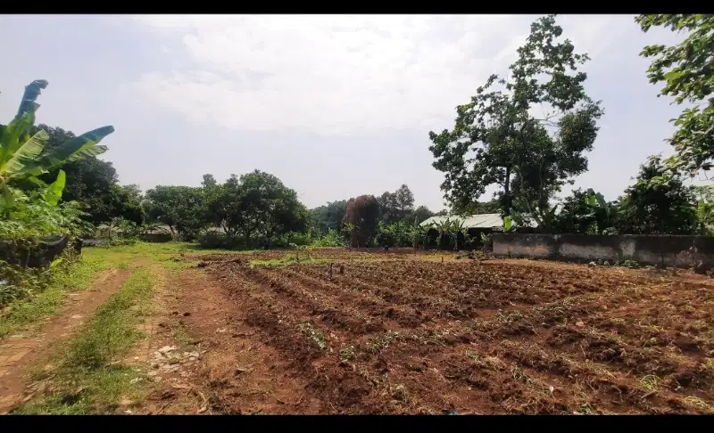 Tanah 1 Ha di curug bojong sari depok akses mbl hrg 2,5jt/m