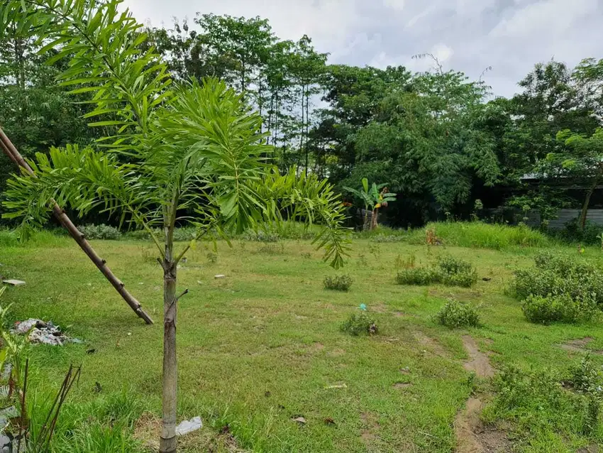 Tanah Pekarangan Siap Bangun di Plesungan Gondangrejo Solo