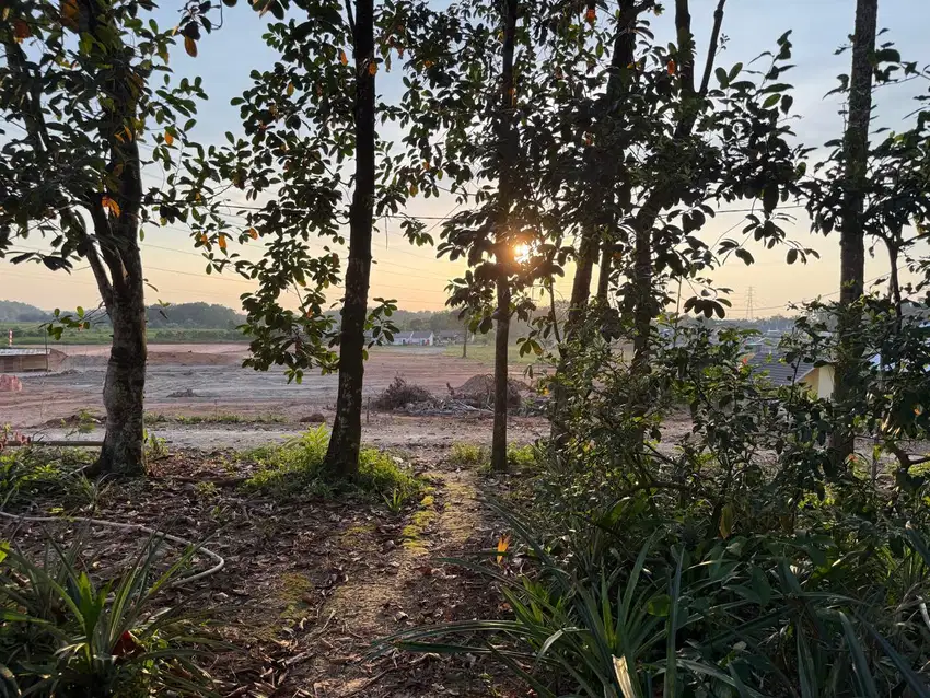 DIJUAL TANAH LUAS TANJUNG BARANGAN PALEMBANG