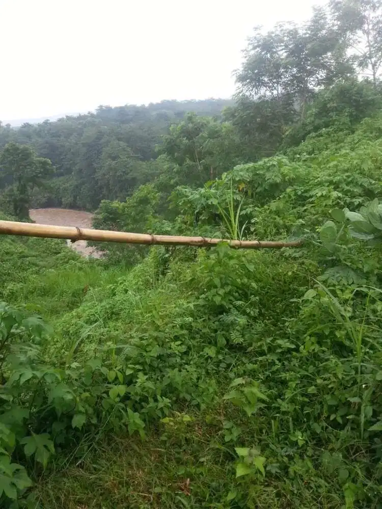 JUAL TANAH DI PASURUAN HARGA MURAH DEKAT EXIT TOL PURWODADI