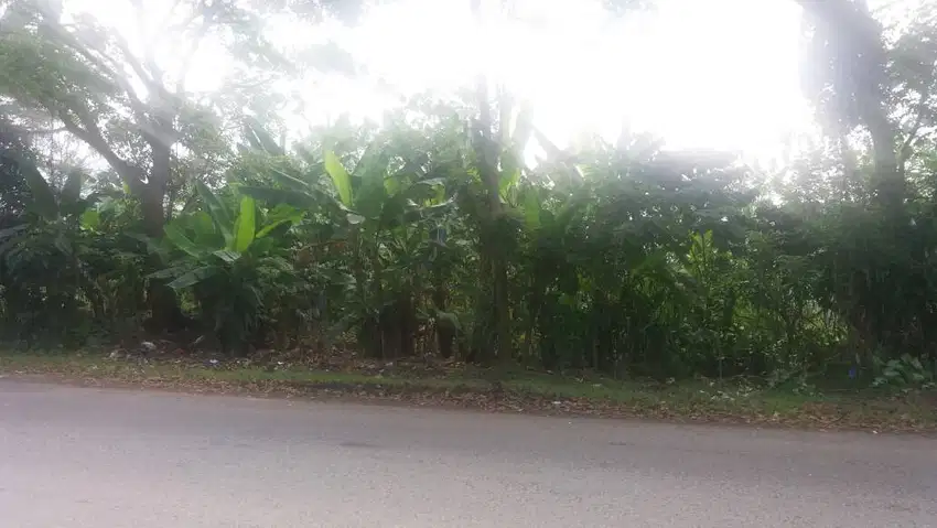 Dijual Tanah Di Cianjur, Strategis Daerah Perbatasan Cianjur Bogor SHM