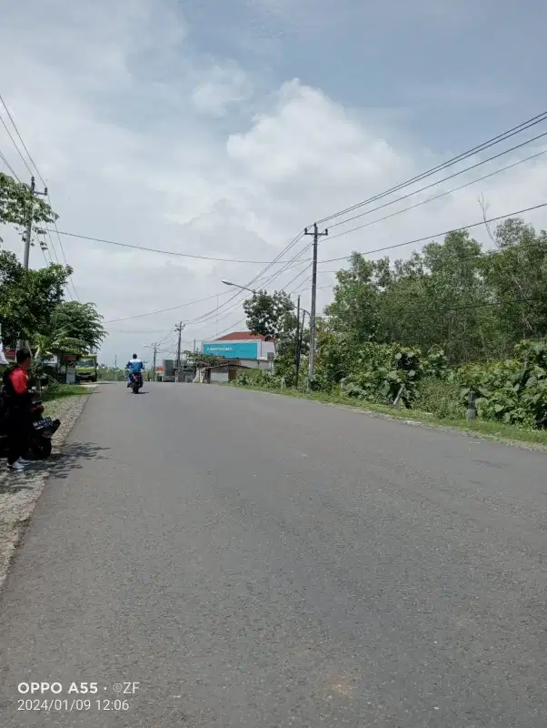 Tanah Dijual Kawasan industri Terpadu Sentolo