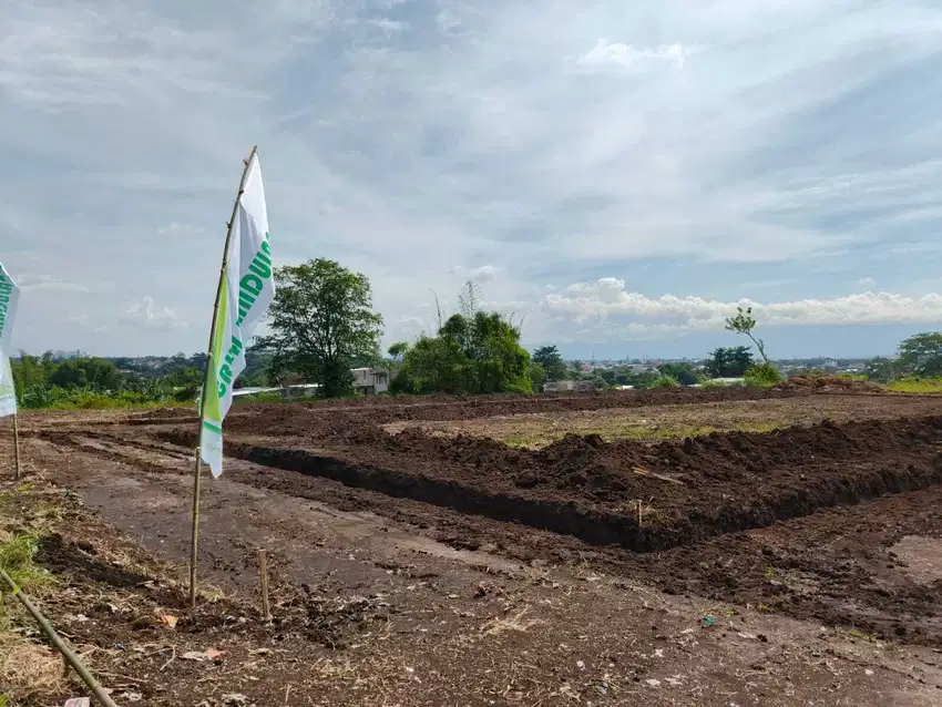Harga Murah Tanah Bandulan