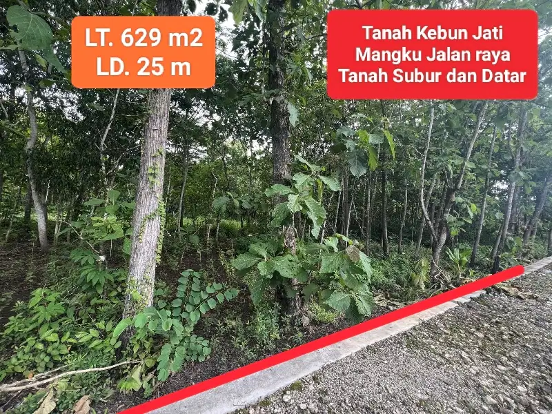Jual tanah mangku jalan raya murah di Bejiharjo Gunungkidul
