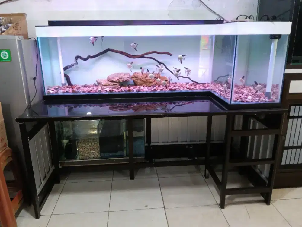 Aquarium meja kerja/belajar