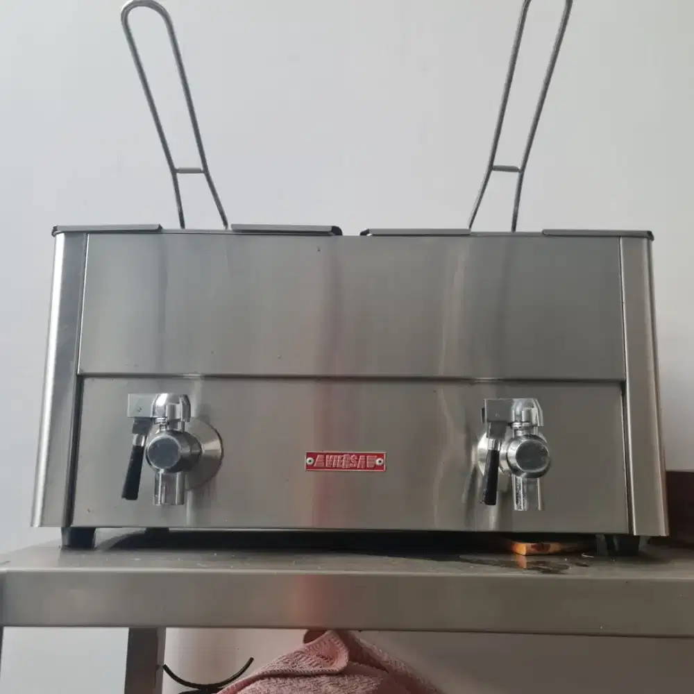 Electric deep Fryer 2 tank