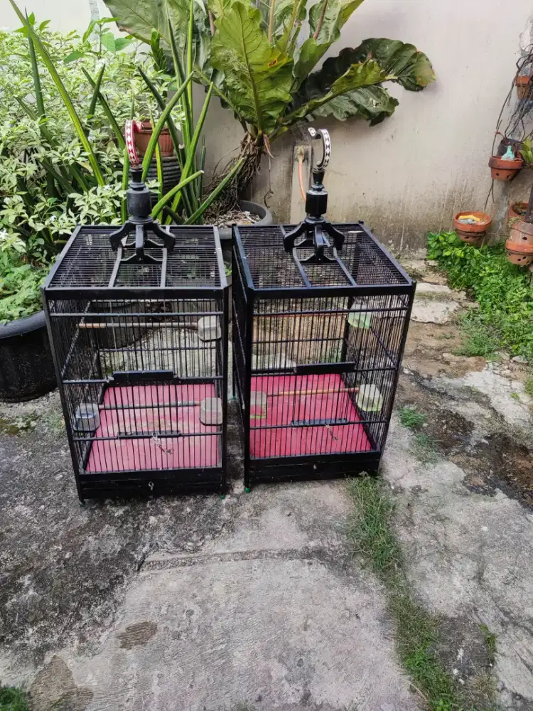 Kandang Kotak no. 1 Replika Tanjung Kayu Kamper Kokoh Layak Pakai NETT