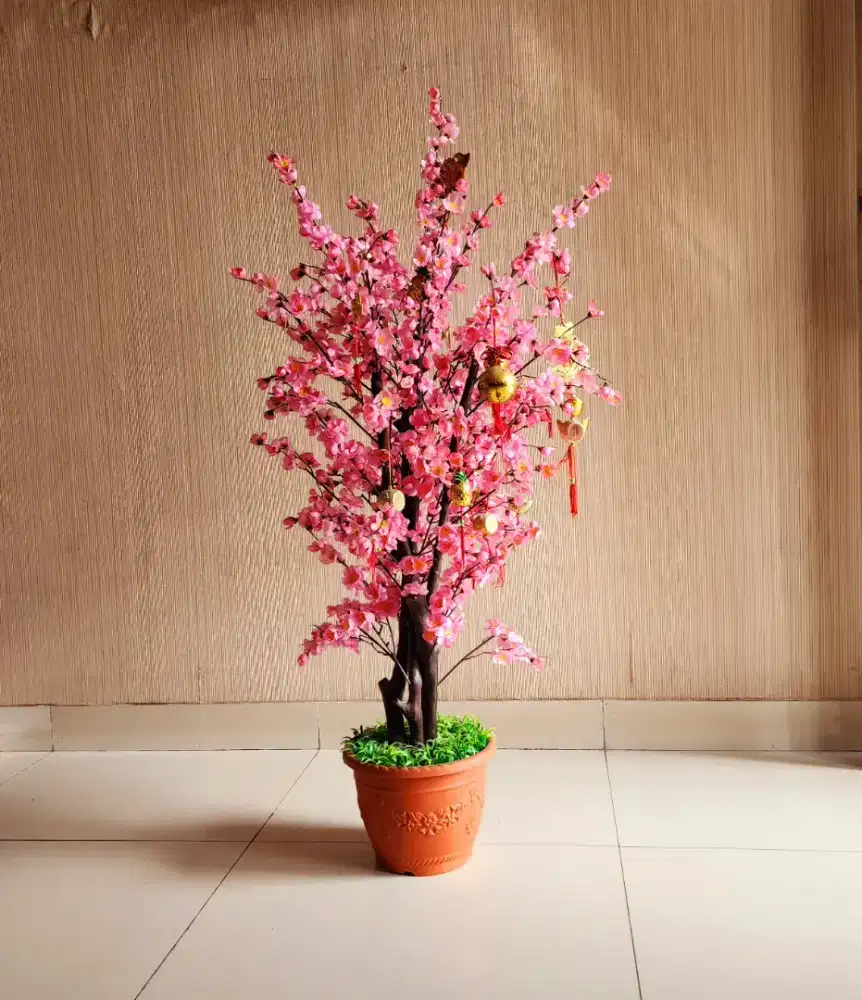 bunga imlek, bunga sakura, cherry blossom