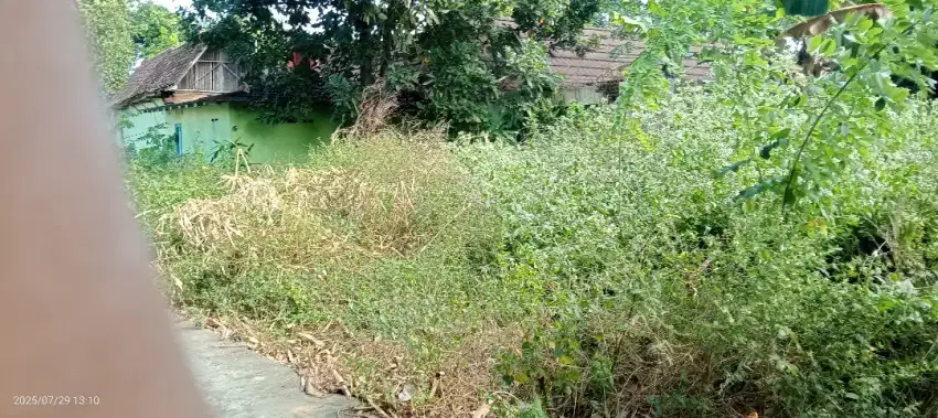 Tanah pekarangan 355