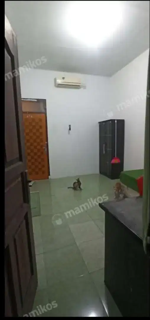 Mango kost Rawamangun - Putra